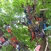 Picture 036